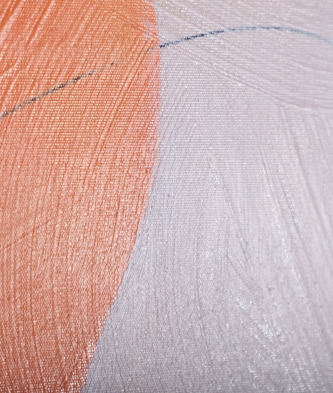Lienzo J/2 Jula - Imagen 4
