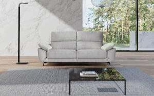 sofa fly